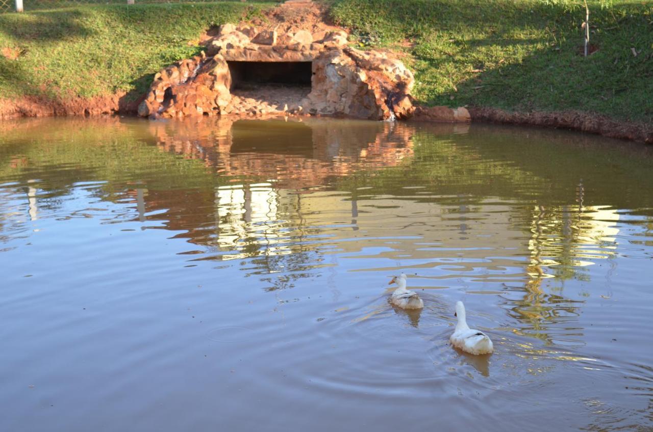 Pousada Coqueiro Verde Minas Gerais Mateus Leme Luaran gambar